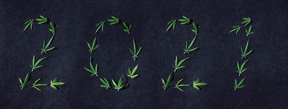 Gli sviluppi della Cannabis nel 2021